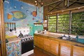 Kitchen in Coconut Heights