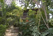 Set in lush gardens