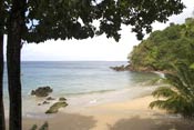 castara Bay, viewed from the Beach House