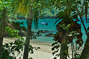 View of beach from Beach House tropical garden