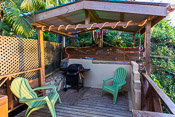 Coconut Heights barbecue/deck area